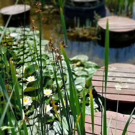 Tatralandia 323 Apartament *